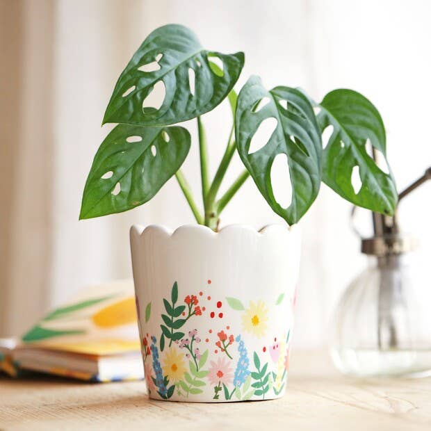 Floral Scalloped Planter for screen - free family bonding – Keiki Krate