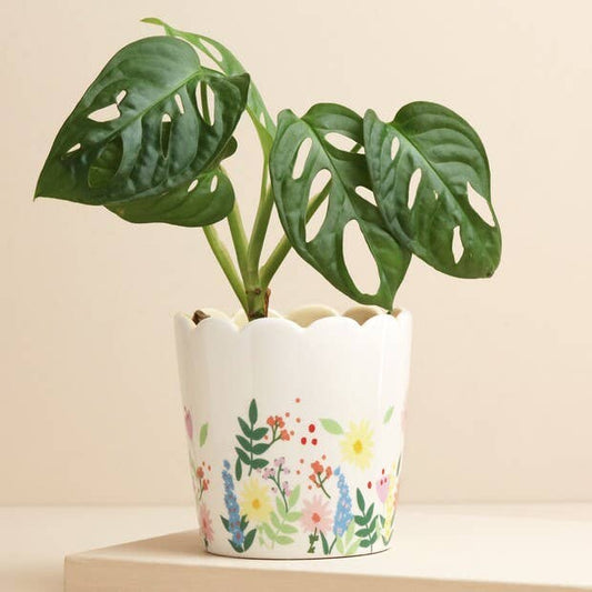 Floral Scalloped Planter for screen - free family bonding – Keiki Krate