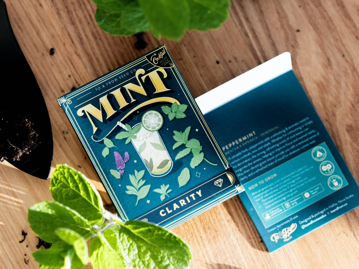 Seed Packet & Cocktail Recipe - Mint (Clarity) for screen - free family bonding – Keiki Krate