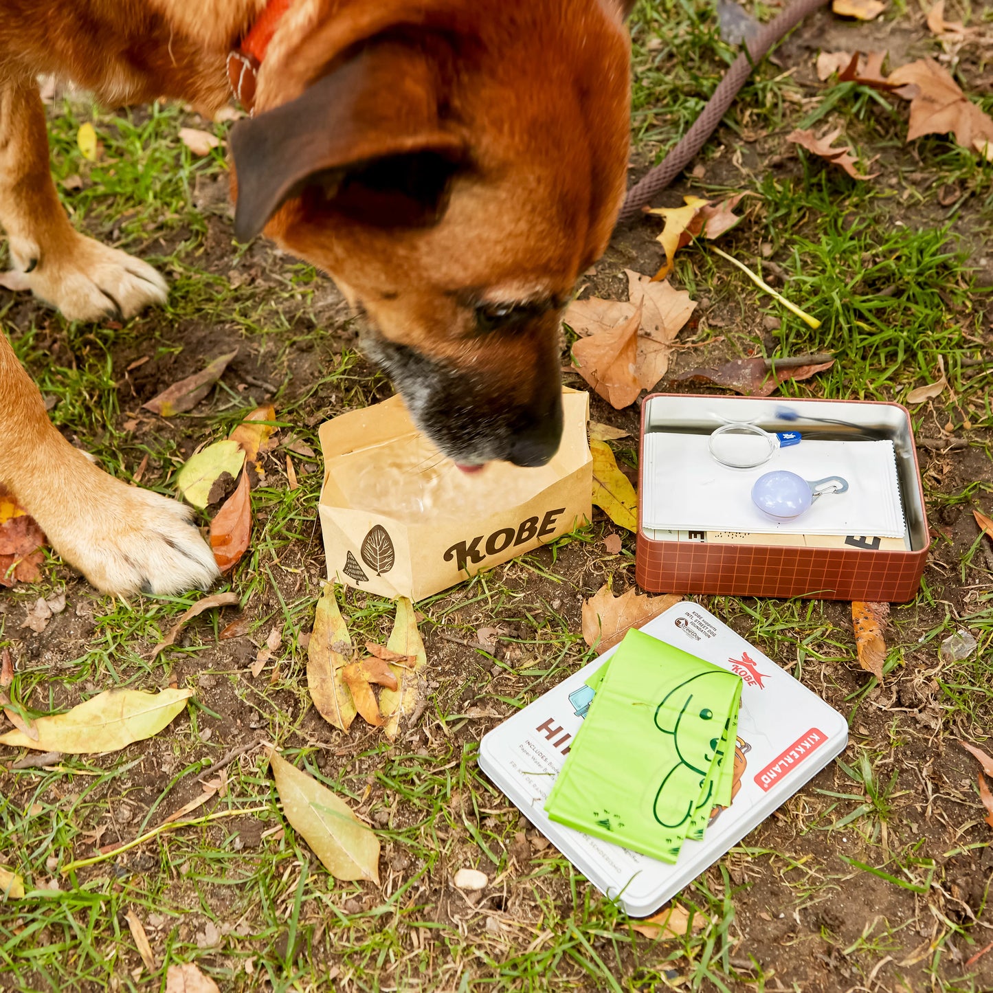 Dog Hiking Kit
