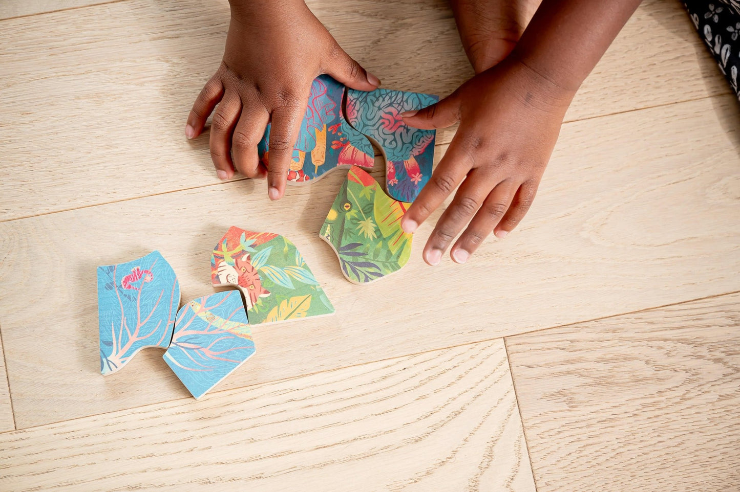 Reef and Jungle for screen - free family bonding – Keiki Krate