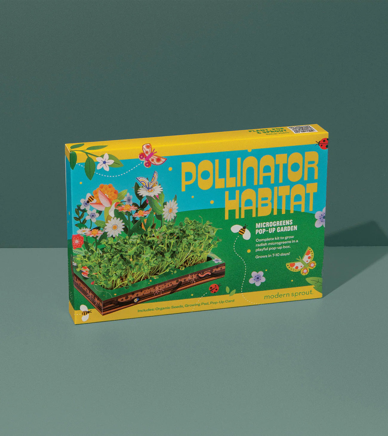 Microgreens Pop-Up Kit | Pollinator Habitat