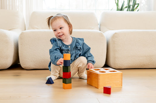 Rainbow Shape Sorter